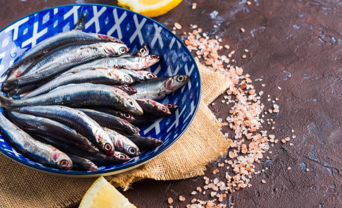 anchois ciaza