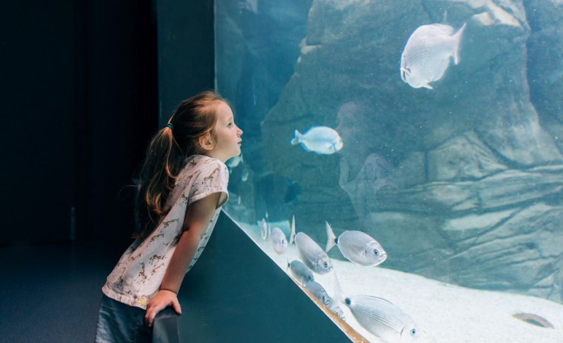 atrakcje z dzieckiem w międzyzdrojach