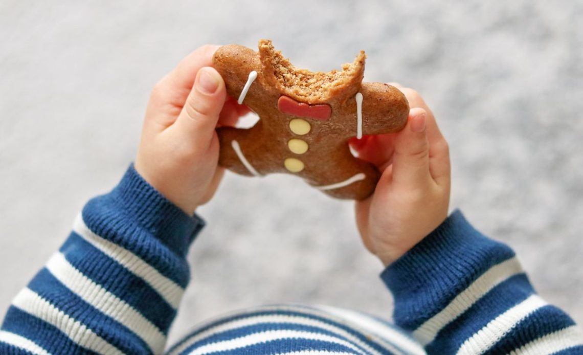 atrakcje z dzieckiem w toruniu